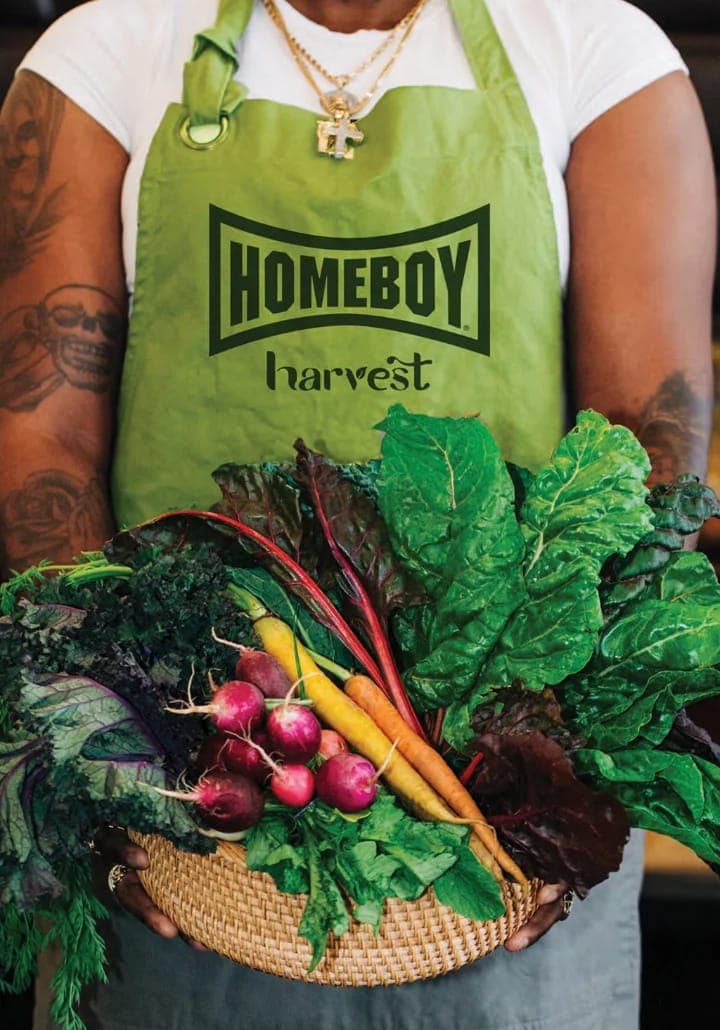 Leafy greens growing under grow lights at the Homeboy Harvest hydroponic farm